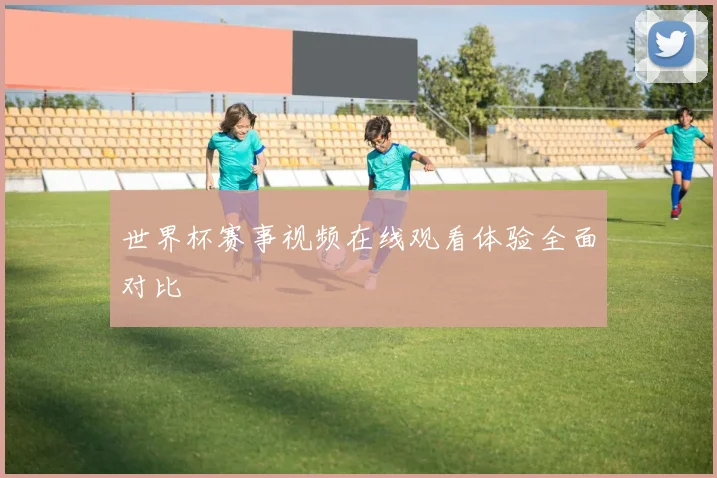 世界杯赛事视频在线观看体验全面对比