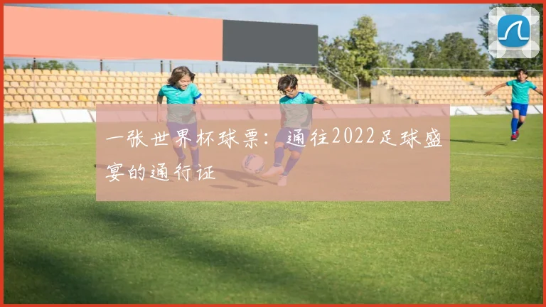 一张世界杯球票：通往2022足球盛宴的通行证