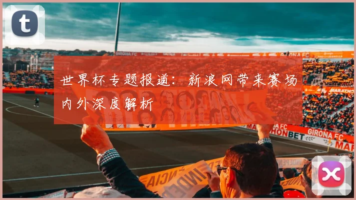 世界杯专题报道:新浪网带来赛场内外深度解析