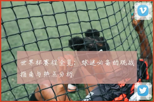 世界杯赛程全览：球迷必备的观战指南与热点分析