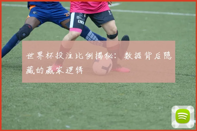 世界杯投注比例揭秘：数据背后隐藏的赢家逻辑
