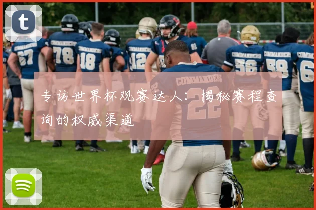 专访世界杯观赛达人：揭秘赛程查询的权威渠道