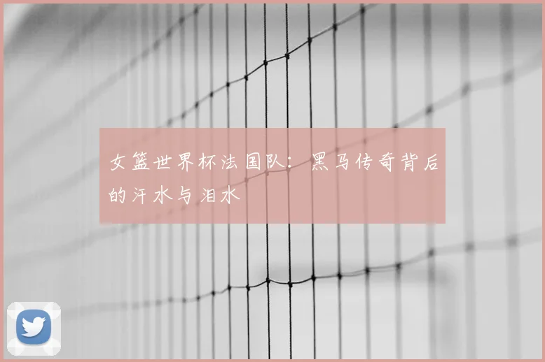女篮世界杯法国队：黑马传奇背后的汗水与泪水