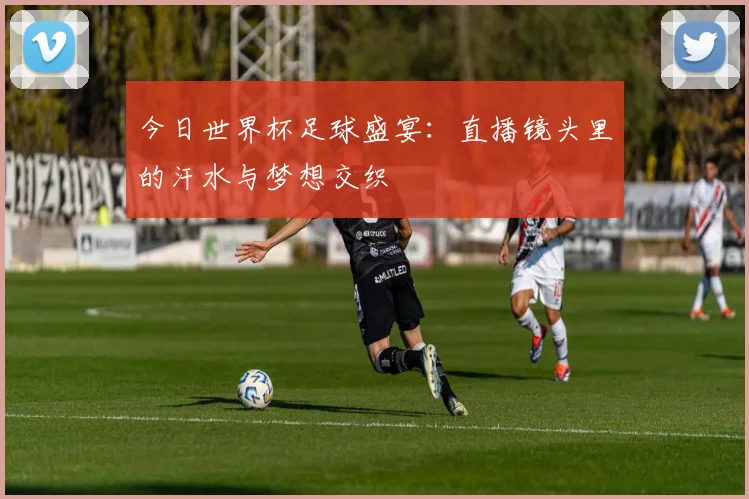 今日世界杯足球盛宴：直播镜头里的汗水与梦想交织